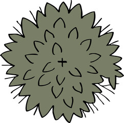 hand drawn cartoon decoration top view of tree illustration.