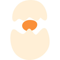 The Birth of a Meal: An open eggshell reveals a vibrant yolk.