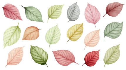 A collection of hand-painted watercolor botanical leaves in soft pastel tones, beautifully detailed and isolated on a transparent background. Ideal for design, nature, and creative projects.