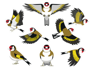 Bird European Goldfinch Various Poses Fly Cartoon Vector