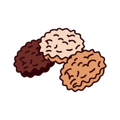 Cookies with chocolate and coconut