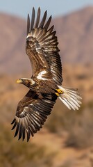 Obraz premium Majestic eagle soaring over a desert landscape with mountains in the background