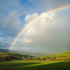 Fototapeta premium Vibrant Rainbow Stretching Across a Lush Green Landscape After Rain