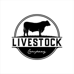 Angus cattle logo in round badge with classic style design