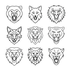 Fototapeta premium Predator animal vector outline Bundle