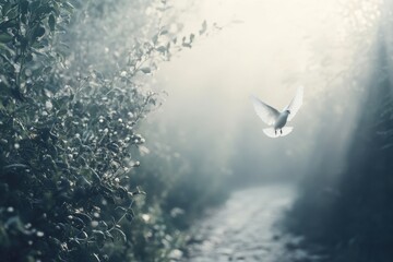 Dementia risk symbolized by a frayed memory lane path. Featuring soft, diffused sunlight and natural textures