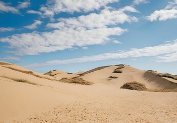 Sand dunes in the Sahara Desert