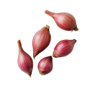 Red shallots on black background fresh produce food ingredients cooking recipe