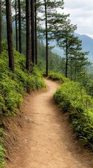 Fototapeta premium Scenic winding path through lush green forest with distant mountains and clouds