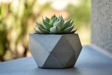 Concrete pot. Modern geometric concrete planter