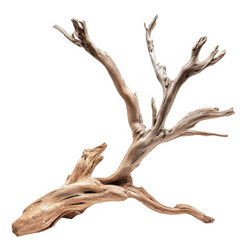 Intricate Driftwood Sculpture Nature Art Piece,