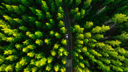 Aerial view of dark green forest road and white electric car Natural landscape and elevated roads...
