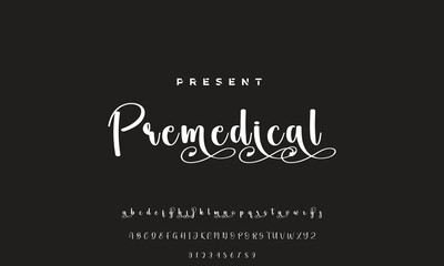 handwrite signature font Calligraphy Logotype Script Brush Font Type Font lettering handwritten