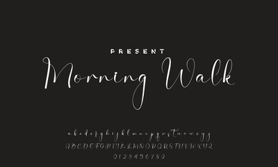 handwrite signature font Calligraphy Logotype Script Brush Font Type Font lettering handwritten