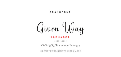 handwrite signature font Calligraphy Logotype Script Brush Font Type Font lettering handwritten