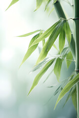 Digital abstract green bamboo soft dreamy tones illustration graphic poster background
