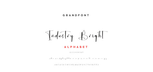 signature Font Calligraphy Logotype Script Brush Font Type Font lettering handwritten