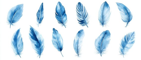 Watercolor Blue Feathers isolate on white background. Element for Greeting Cards and Wedding, Birthday and other Holiday and Summer Invitation Cards 