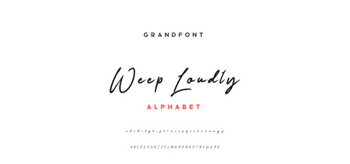 signature Font Calligraphy Logotype Script Brush Font Type Font lettering handwritten