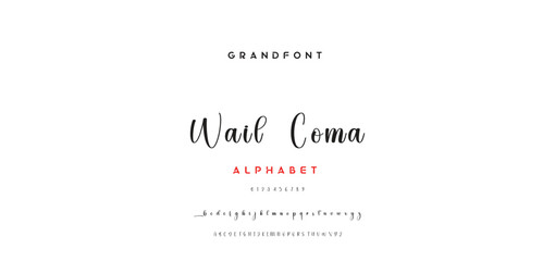 signature Font Calligraphy Logotype Script Brush Font Type Font lettering handwritten