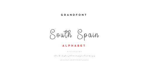 signature Font Calligraphy Logotype Script Brush Font Type Font lettering handwritten