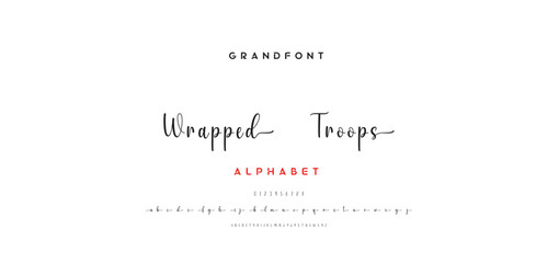 signature Font Calligraphy Logotype Script Brush Font Type Font lettering handwritten