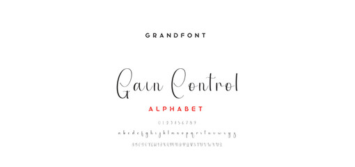 signature Font Calligraphy Logotype Script Brush Font Type Font lettering handwritten