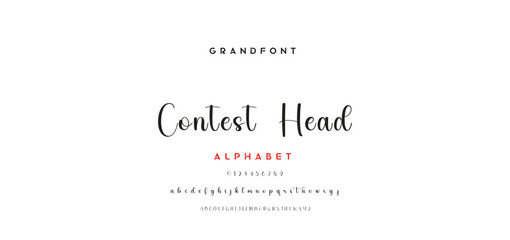 signature Font Calligraphy Logotype Script Brush Font Type Font lettering handwritten