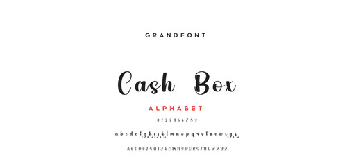 signature Font Calligraphy Logotype Script Brush Font Type Font lettering handwritten