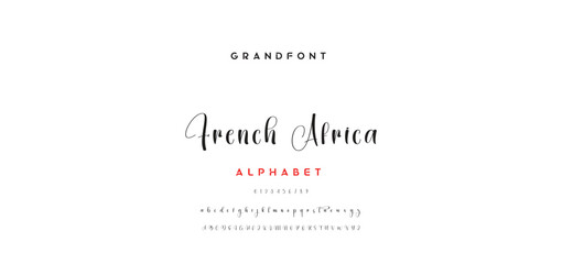 signature Font Calligraphy Logotype Script Brush Font Type Font lettering handwritten