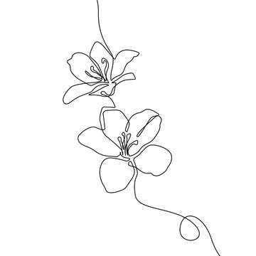 Flowers Continuous One Line Vector Drawing. Flower Black Sketch Isolated on White Background. Blooming Design. Abstract Linear Flower Silhouette for Minimalist Drawing.