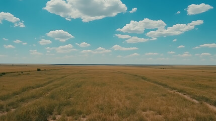 Fototapeta premium Expansive Golden Field Under Azure Sky A Vast Landscape Of Tranquility And Serenity On A Bright Sunny Day.
