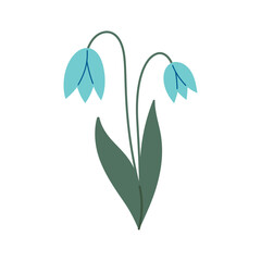 Snowdrop flower in doodle style. Snowdrop flower. Vector cartoon illustration isolated on white. Cartoon style. Vector Hand drawn illustration.