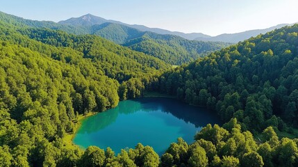 Aerial view of a tranquil lake surrounded by lush green trees and vibrant natural scenery