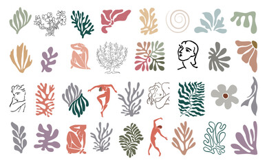 Set of abstract organic shapes, exotic jungle leaves, female nude silhouettes, algae in trendy retro inspired style. Contemporary art vector illustration on transparent background. 