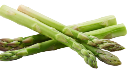 Asparagus, isolated on white background, full depth of field