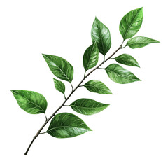 Fototapeta premium Lush Green Branch Watercolor Botanical Illustration Nature Leaves Plants