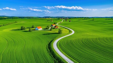 Serpentine road traverses lush green fields under a blue sky