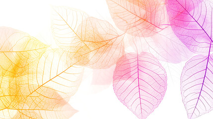 Translucent Veins of Botanical Elegance Leaf Anatomy in Colorful Overlay Design on White Backdrop.