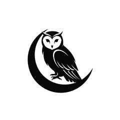 owl on a white background