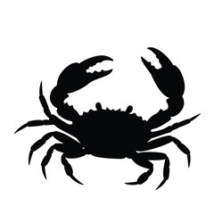 red crab on white background