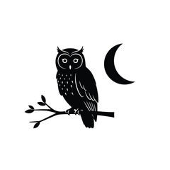 owl on branch