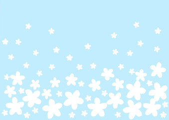 たくさんの白い花の壁紙　背景　水色