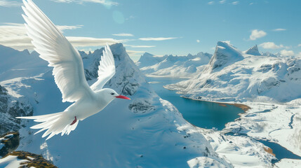 A Majestic White Arctic Tern Soaring Above Snow-Covered Mountains and a Serene Winter Lake, Aerial View, Realistic Photo with Vibrant Feathers and Red Beak, Stock Photo Style