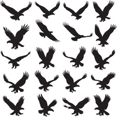 Eagle silhouette set vector design big pack of bird illustration and icon. 