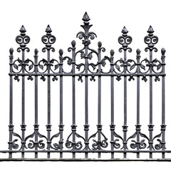 Ornate Black Wrought Iron Fence Design Architectural Detail