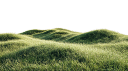 Hill landscape grassland outdoors isolated on a white or transparent background