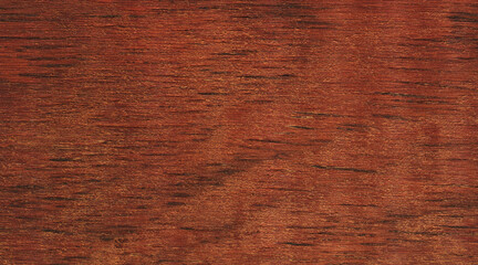 Mahogany wood texture, can be used as background, wood grain texture