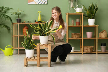 Pretty young woman in apron with rag wiping leaves of sansevieria plant at home
