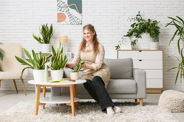 Pretty young woman in apron with shovel transplanting sansevieria plant at home